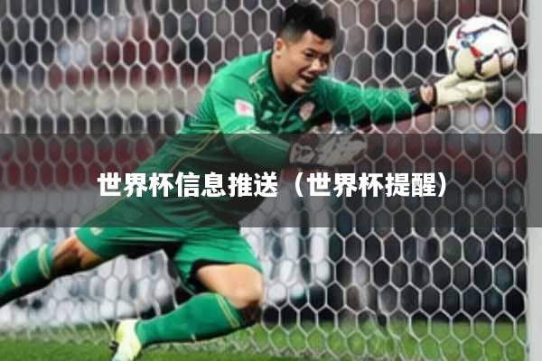 世界杯信息推送(世界杯提醒)