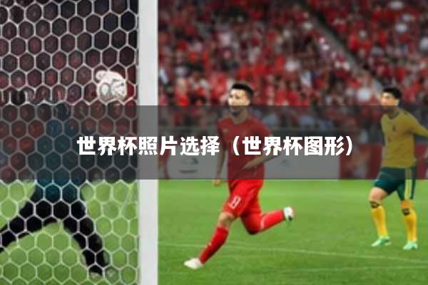 世界杯照片选择(世界杯图形)