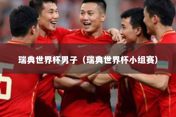 瑞典世界杯男子（瑞典世界杯小组赛）