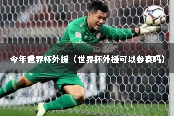 今年世界杯外援(世界杯外援可以参赛吗)