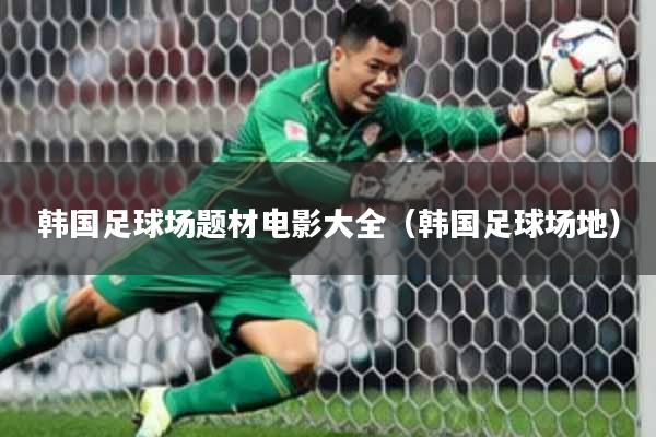 韩国足球场题材电影大全(韩国足球场地)