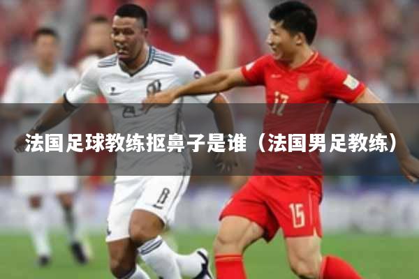 法国足球教练抠鼻子是谁（法国男足教练）
